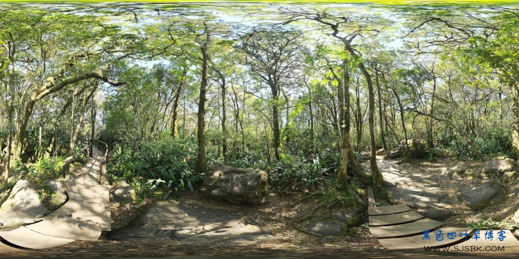 国外HDR16K贴图，第一次更新13个素材-第13张图片